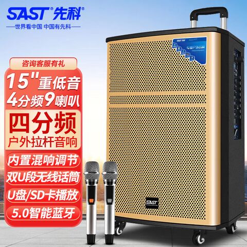 Уличная акустическая система SAST WD-15 с Bluetooth, 15-дюймовым динамиком и двумя микрофонами