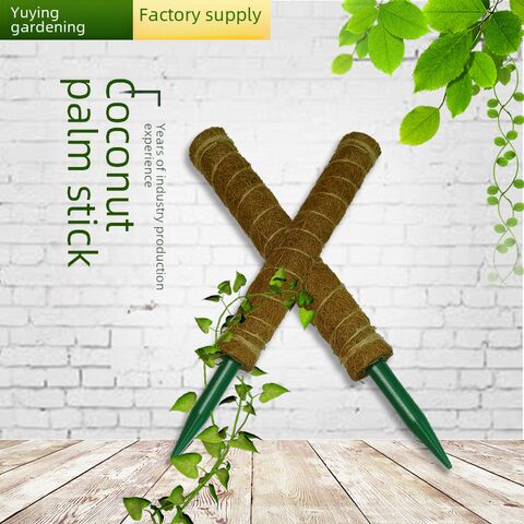 Yuchen detachable coir moss pole for climbing plants, 32–52 cm, for monstera and pothos