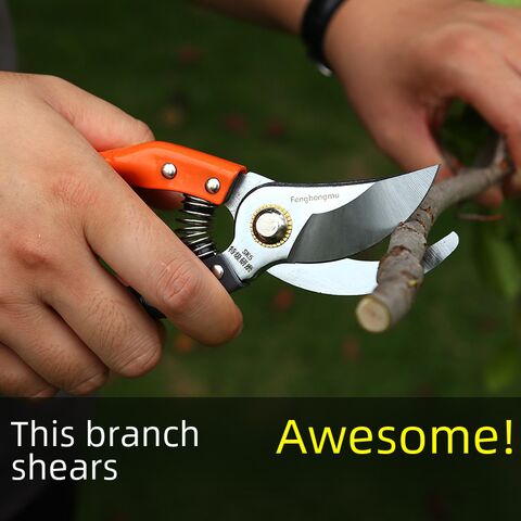 Lanxiangzi SK5 steel pruning shears for fruit trees and flowers, manual, labor-saving