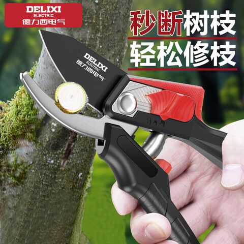 Delixi Garden Pruning Shears — for Fruit Trees, Flowers and Grafting