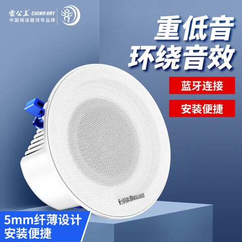 Встраиваемая потолочная колонка Leigongwang CR-401, коаксиальная, Bluetooth 5.0, 15 Вт, 220 В