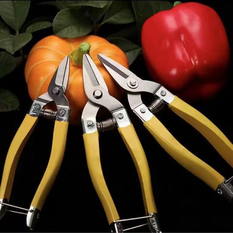 Luoding Stainless Steel Fruit Picking Shears, 15 and 17 cm, for Citrus, Vegetables and Flowers