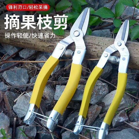 Garden Pruning Shears for Fruit Trees, Grapes and Citrus, for Grafting, Thinning and Fruit Picking