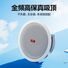 Потолочная Bluetooth-акустическая система для магазина: встраиваемые колонки и усилитель