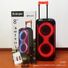 Напольная Bluetooth-колонка TTD-2821 с выдвижной ручкой, 2 динамика 8", 40 Вт, RGB-кольца, караоке