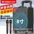 Колонка Chigo для караоке и выступлений на улице, 3 динамика, 80 Вт, Bluetooth 5.3, деревянный корпус