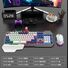 Проводной игровой комплект клавиатура и мышь Raiku T16, металлическая панель, USB, 1000 dpi