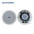 Активная потолочная Bluetooth-колонка SURPSS BT54 с широкополосным динамиком 6,5 дюйма для дома и магазина