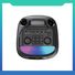 Колонка для вечеринок Topsound G360 с RGB-подсветкой, 2 динамика 6,5 дюйма, 60 Вт, Bluetooth