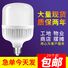 Светодиодная лампа Qihongjia E27 / B22 для дома, пластиковый корпус, 5–80 Вт