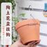 Настенный крючок-держатель для цветочного горшка Qingshan, подвес для орхидей и терракотовых горшков