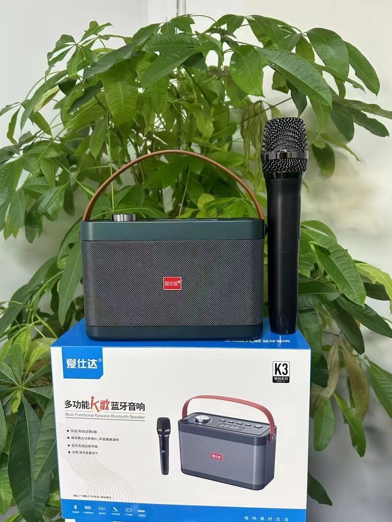 Портативная караоке-колонка Xiashida K3 с Bluetooth, 2 динамика, микрофон в комплекте, 10 Вт