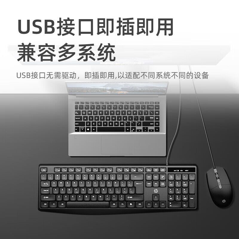 Комплект клавиатура и мышь HP KM10L, проводной, для офиса, ноутбука и ПК