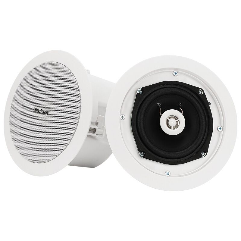 Беспроводная Bluetooth потолочная акустика QIASHENG для магазинов, встраиваемая