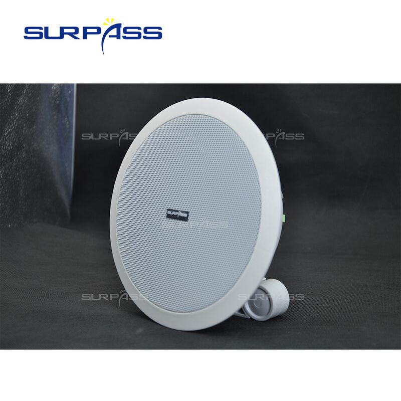 Активная потолочная Bluetooth-колонка SURPSS BT54 с широкополосным динамиком 6,5 дюйма для дома и магазина