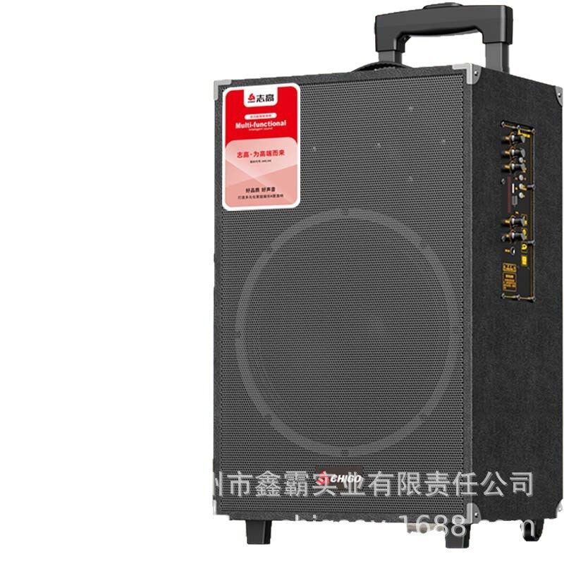 Колонка-тележка Chigo для караоке, НЧ-динамик 8 или 12 дюймов, Bluetooth 5.3, 80 Вт, с микрофонами