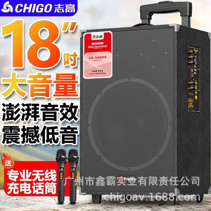 Колонка-тележка Chigo для караоке, НЧ-динамик 8 или 12 дюймов, Bluetooth 5.3, 80 Вт, с микрофонами