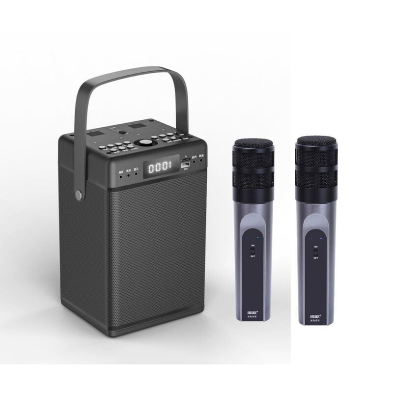 Караоке-колонка WENGEAUDIO W400 со звуковой картой для стриминга, Bluetooth 5.0, 30 Вт