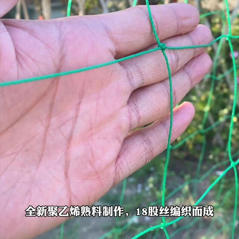 Сетка шпалерная для растений Qiaonongren, пластиковая, ячейка 10×10, длина 100 м, ширина 0,4–3 м