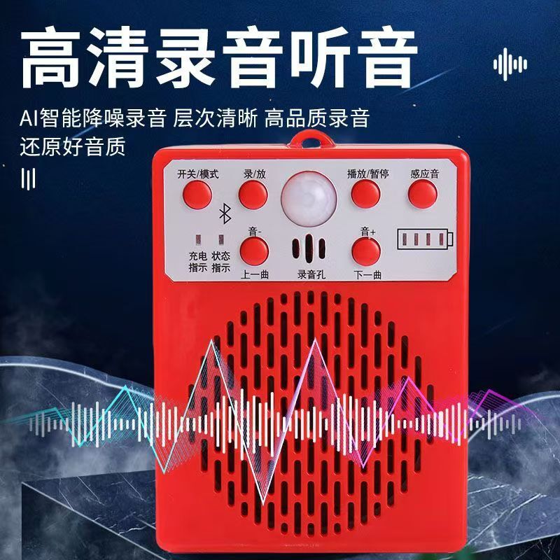 Ручной громкоговоритель для уличной торговли с записью и Bluetooth 5.0, 10 Вт, аккумулятор, озвучивание платежей