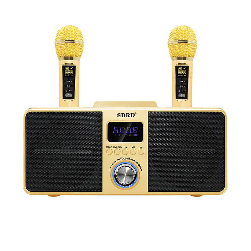 Караоке-колонка SDRD SD-309, 2 динамика, аккумулятор 3000 мА·ч, Bluetooth 5.3, защита IPX2