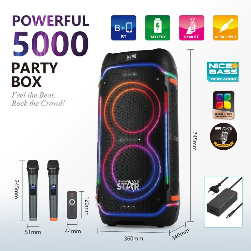Колонка для вечеринок WINNINGSTAR ST-Y9156 на колёсах, 2 динамика 8", RGB-подсветка, 2 беспроводных микрофона